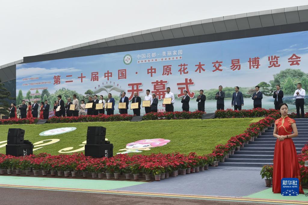 太阳城菲律宾网站